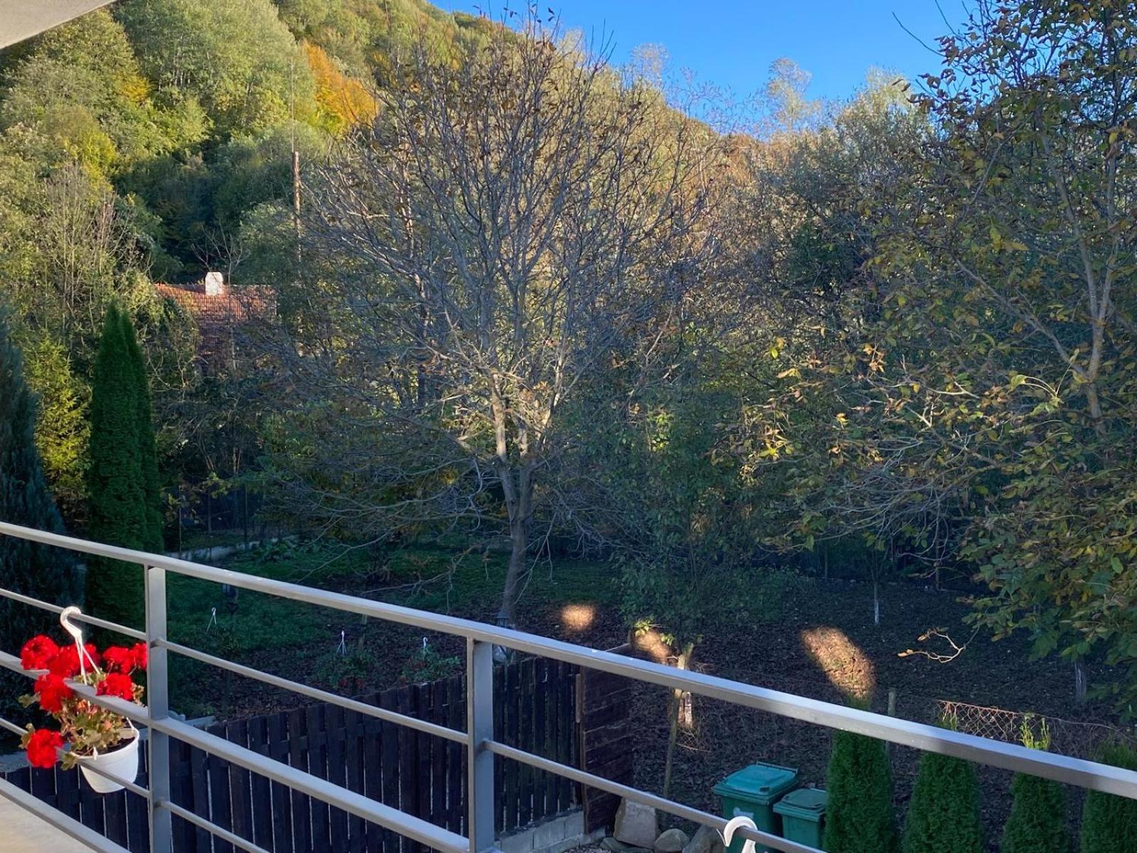 Rîşnov Vila Emma מראה חיצוני תמונה