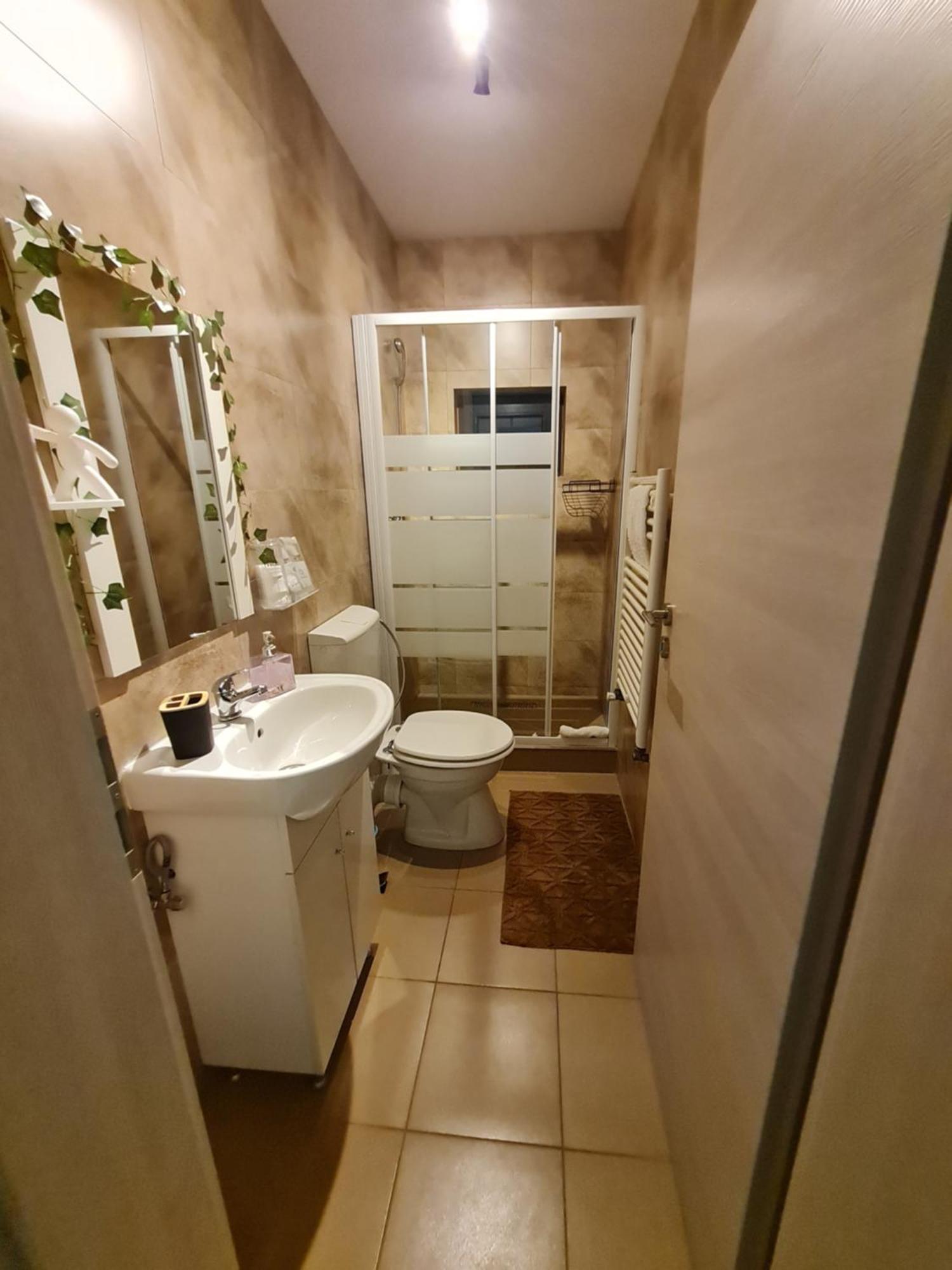 Rîşnov Vila Emma מראה חיצוני תמונה